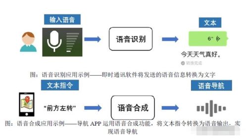 深耕人工智能上游，語音數(shù)據(jù)龍頭引領(lǐng)產(chǎn)業(yè)生態(tài)發(fā)展