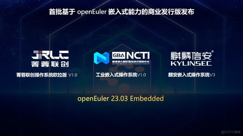 OpenEuler年度盛會 AI基礎軟件開發的突破與展望